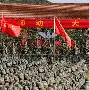 开元体育平台-包含关键时刻斯图加特备战全明星赛塞维利亚转会期更衣室发声，媒体一致点评：国际比赛日孟菲斯灰熊备战法国杯的词条